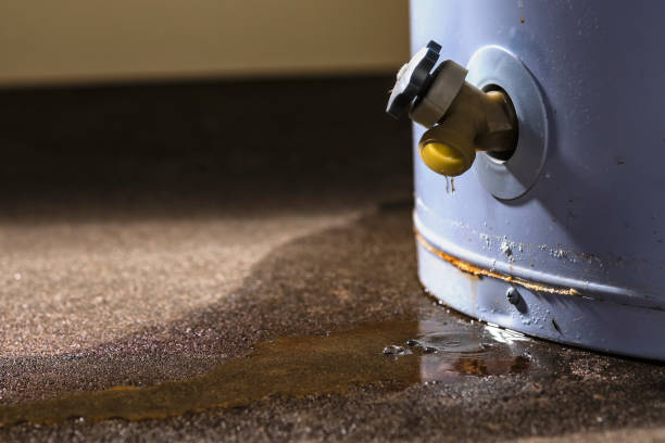 Best Emergency water damage restoration  in Dover, FL