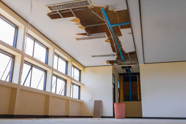 Best Sewage cleanup and water damage restoration  in Dover, FL