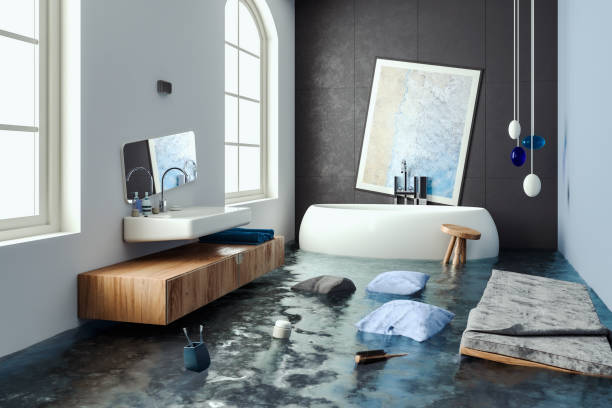Best Water damage restoration near me  in Dover, FL