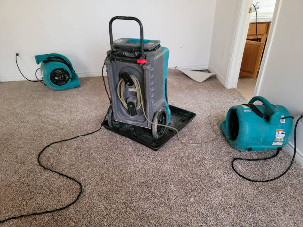 Water damage restoration mold remediation in Dover, FL