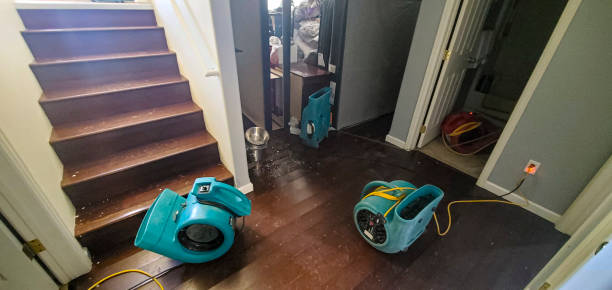 Best Flood restoration services  in Dover, FL