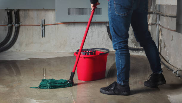 Water damage restoration insurance claims in Dover, FL