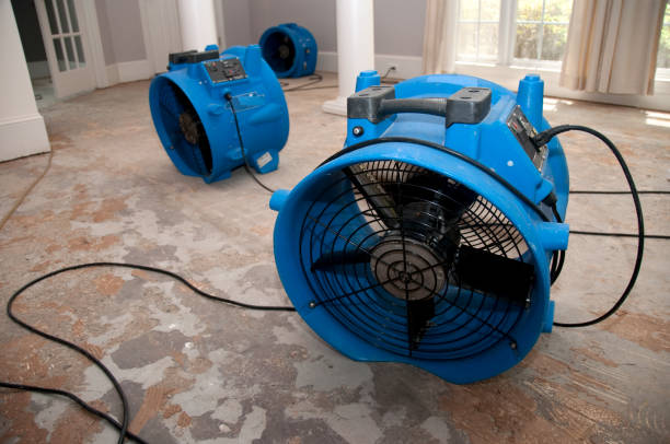Local water damage restoration in Dover, FL