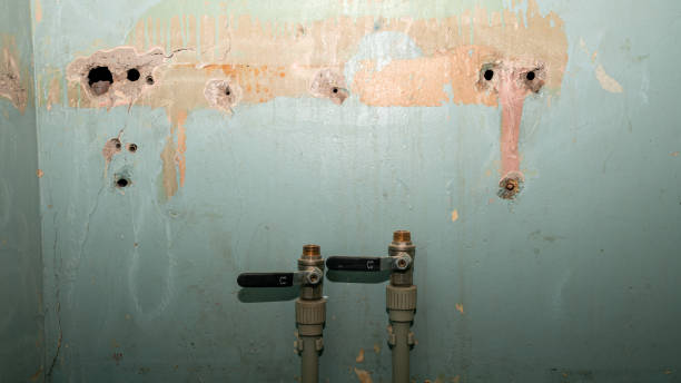  Dover, FL Water damage restoration Pros