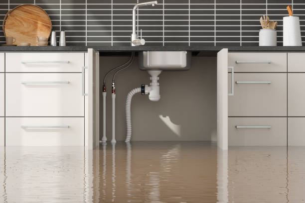 Local water damage restoration in Dover, FL
