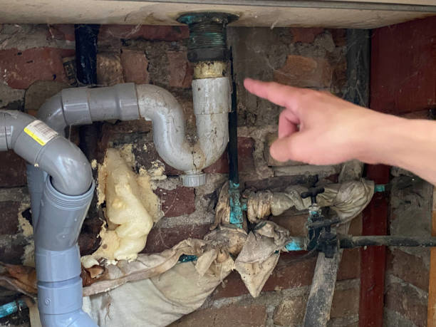 Local water damage restoration in Dover, FL