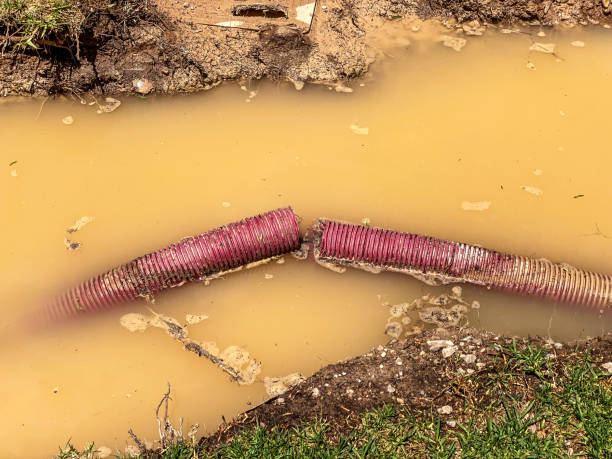 Water damage restoration mold remediation in Dover, FL