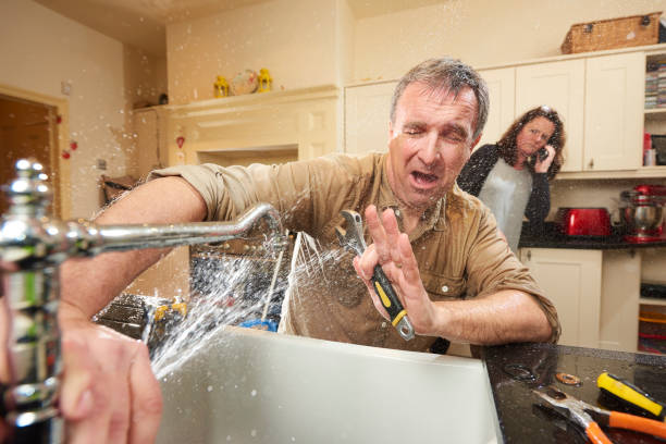 Best Basement water damage restoration  in Dover, FL
